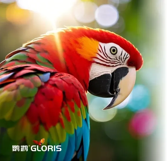 parrot brand logo for industrial and automotive surface repair solutions