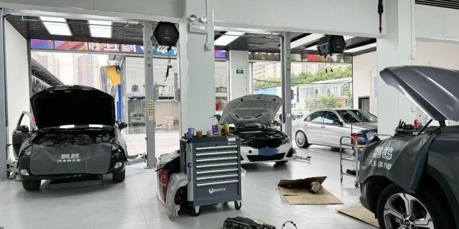 鹦鹉® Gloris Automotive Film Official Flagship Store