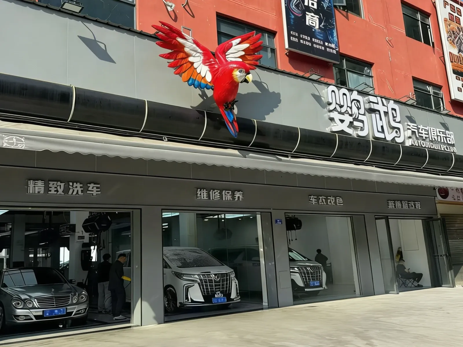 鹦鹉® Gloris汽车俱乐部官方直营店